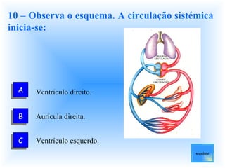 10 – Observa o esquema. A circulação sistémica inicia-se: Aurícula direita.  Ventrículo esquerdo.  seguinte Ventrículo direito.  A C B 