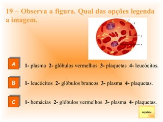 19 – Observa a figura. Qual das opções legenda a imagem. 1-  plasma  2-  glóbulos vermelhos  3-  plaquetas  4-  leucócitos.   1-  leucócitos  2-  glóbulos brancos  3-  plasma  4-  plaquetas.   1-  hemácias  2-  glóbulos vermelhos  3-  plasma  4-  plaquetas. seguinte A C B 