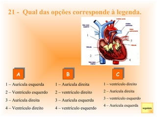 21 -  Qual das opções corresponde à legenda. 1 – Aurícula esquerda 2 – Ventrículo esquerdo 3 – Aurícula direita  4 – Ventrículo direito 1 – ventrículo direito 2 – Aurícula direita 3 – ventrículo esquerdo 4 – Aurícula esquerda 1 – Aurícula direita 2 – ventrículo direito 3 – Aurícula esquerda 4 – ventrículo esquerdo seguinte A C B 1 2 3 4 