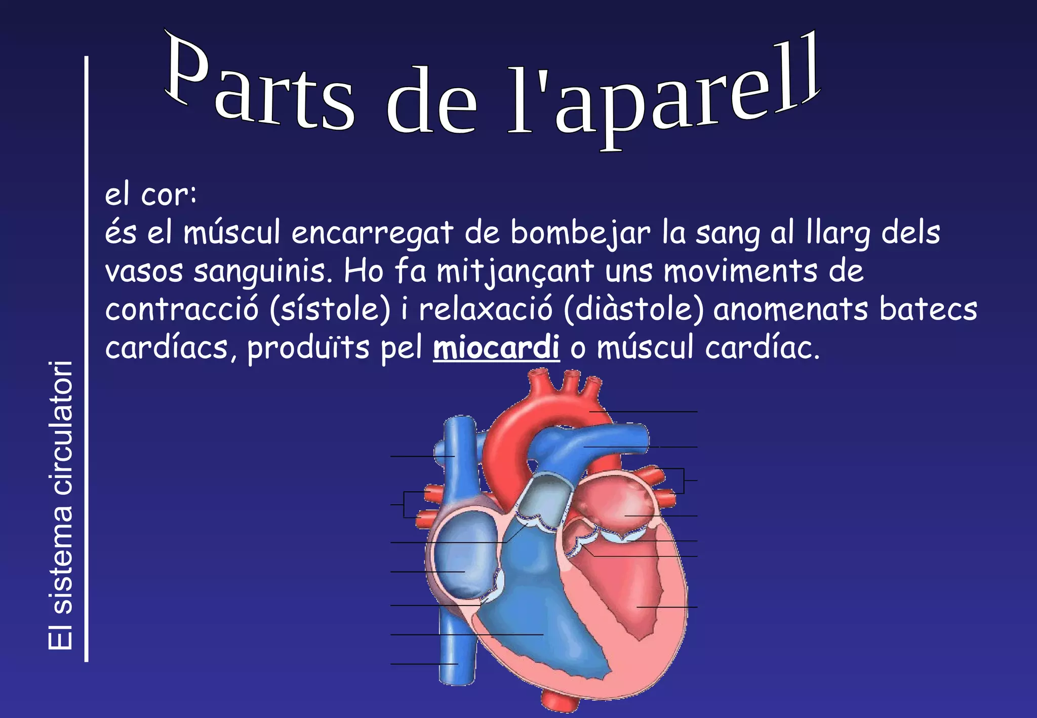 Parts de l'aparell el cor:  és el múscul encarregat de bombejar la sang  al llarg dels vasos sanguinis. Ho fa mitjan çant  uns moviments de contracci ó  (s ís tole) i relaxaci ó  (di às t ole) anomenats batecs card ía cs, produ ït s pel  miocardi  o m úscul  card íac . 