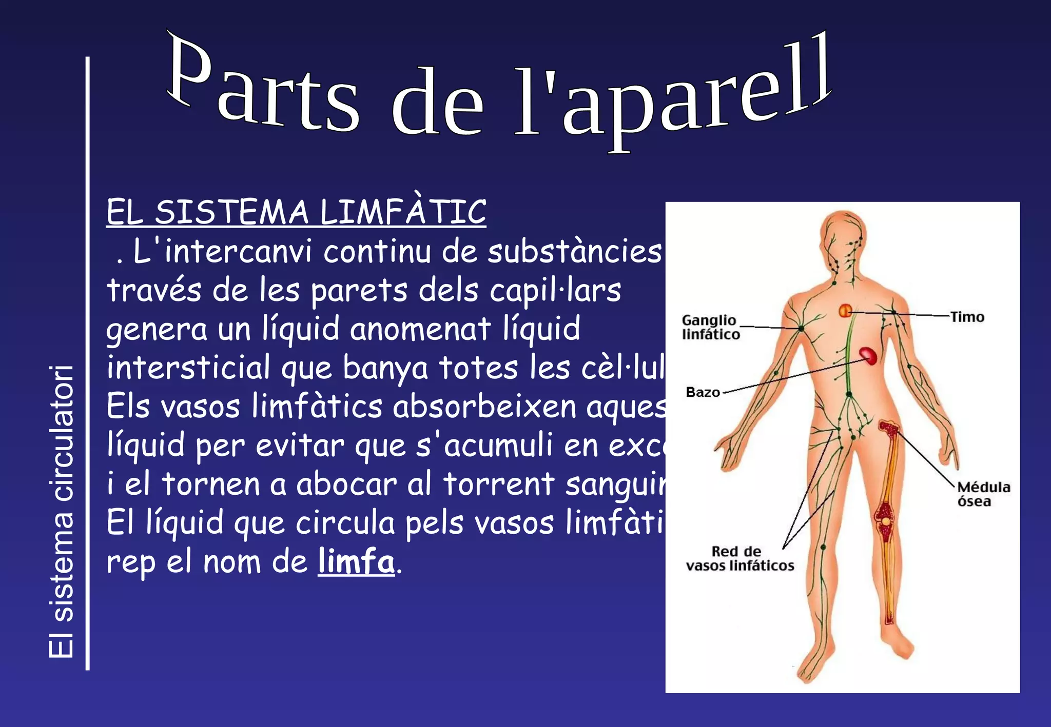 Parts de l'aparell EL SISTEMA LIMFÀTIC .  L'intercanvi continu de subst àn c ies a trav és  de les parets dels capil ·l ars genera un l íq uid anomenat l íq uid intersticial que banya totes les c èl· l ules.  Els vasos limf àt i cs absorbeixen aquest l íq uid per evitar que s'acumuli en exc és   i el tornen a abocar al torrent sanguini. El l íq uid que circula pels vasos limf àt i cs rep el nom de  limfa . 