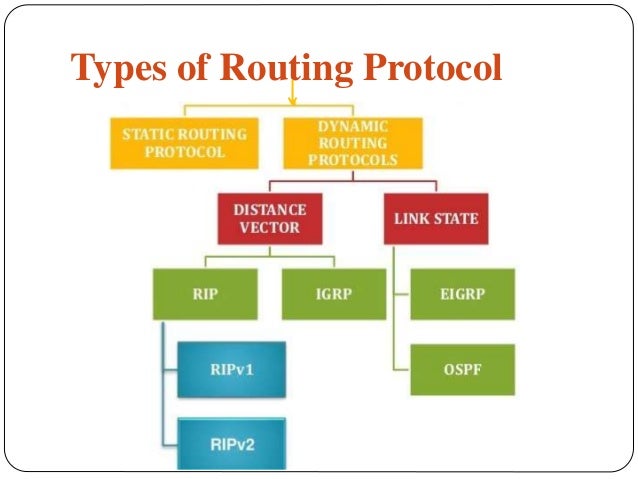 Routing Protocols