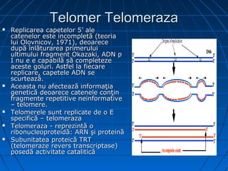 Acizii nucleici 2 | PPT