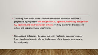 • The injury force which drives acromion medially and downward produces a
progressive injury pattern; first disruption of AC ligaments, followed by disruption of
CC ligaments, and finally disruption of fascia overlying the clavicle that connects
deltoid and trapezius muscle attachments.
• Complete AC dislocation- the upper extremity has lost its suspensory support
from clavicle and scapula- inferior displacement of the shoulder secondary to
forces of gravity.
 