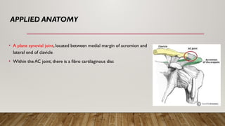 APPLIED ANATOMY
• A plane synovial joint, located between medial margin of acromion and
lateral end of clavicle
• Within the AC joint, there is a fibro cartilaginous disc
 