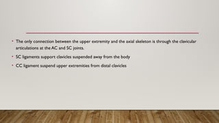• The only connection between the upper extremity and the axial skeleton is through the clavicular
articulations at the AC and SC joints.
• SC ligaments support clavicles suspended away from the body
• CC ligament suspend upper extremities from distal clavicles
 