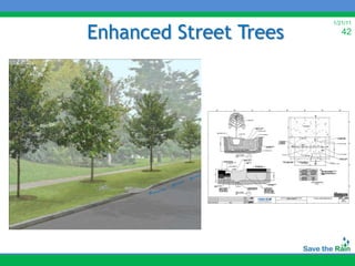 Enhanced Street Trees
                        1/21/11
                           42
 