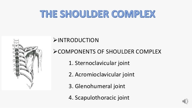 INTRODUCTION
COMPONENTS OF SHOULDER COMPLEX
1. Sternoclavicular joint
2. Acromioclavicular joint
3. Glenohumeral joint
4. Scapulothoracic joint
 