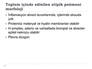 Toplum içinde edinilen atipik pnömoni
morfoloji
   Ġnflamasyon alveol duvarlarında, içlerinde eksuda
    yok
   Proteinöz materyal ve hyalin membranlar olabilir
   H.simples, adeno ve varisellada bronĢial ve alveoler
    epitel nekrozu olabilir
   Plevra düzgün
 