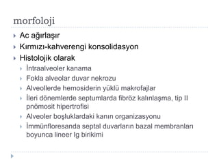 morfoloji
   Ac ağırlaĢır
   Kırmızı-kahverengi konsolidasyon
   Histolojik olarak
       Ġntraalveoler kanama
       Fokla alveolar duvar nekrozu
       Alveollerde hemosiderin yüklü makrofajlar
       Ġleri dönemlerde septumlarda fibröz kalınlaĢma, tip II
        pnömosit hipertrofisi
       Alveoler boĢluklardaki kanın organizasyonu
       Ġmmünfloresanda septal duvarların bazal membranları
        boyunca lineer Ig birikimi
 