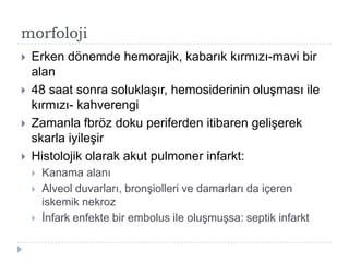 morfoloji
   Erken dönemde hemorajik, kabarık kırmızı-mavi bir
    alan
   48 saat sonra soluklaĢır, hemosiderinin oluĢması ile
    kırmızı- kahverengi
   Zamanla fbröz doku periferden itibaren geliĢerek
    skarla iyileĢir
   Histolojik olarak akut pulmoner infarkt:
       Kanama alanı
       Alveol duvarları, bronĢiolleri ve damarları da içeren
        iskemik nekroz
       Ġnfark enfekte bir embolus ile oluĢmuĢsa: septik infarkt
 
