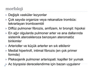 morfoloji
   DeğiĢik vasküler lezyonlar
   Çok sayıda organize veya rekanalize trombüs:
    tekrarlayan tromboembli
   Diffüz pulmoner fibrozis, amfizem, kr bronĢit: hipoksi
   En ağır olgularda pulmoner arter ve ana dallarında
    sistemik ateroskleroza benzeyen ateromatöz
    birikimler
   Arterioller ve küçük arterler en sık etkilenir
   Medial hipertrofi, intimal fibrozis (en çok primer
    formda)
   Pleksojenik pulmoner arteriopati: kapiller bir yumak
   Ac biyopsisi derecelendirme için bazan uygulanır
 