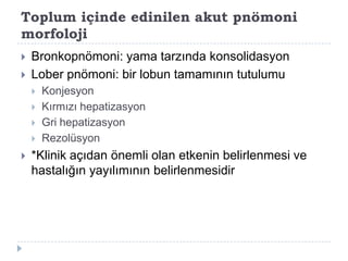Toplum içinde edinilen akut pnömoni
morfoloji
   Bronkopnömoni: yama tarzında konsolidasyon
   Lober pnömoni: bir lobun tamamının tutulumu
       Konjesyon
       Kırmızı hepatizasyon
       Gri hepatizasyon
       Rezolüsyon
   *Klinik açıdan önemli olan etkenin belirlenmesi ve
    hastalığın yayılımının belirlenmesidir
 