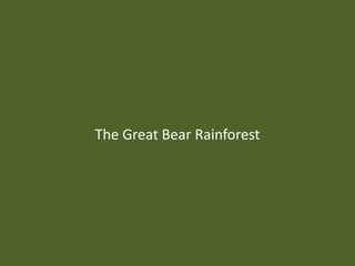 The Great Bear Rainforest
 