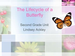 The Lifecycle of a
Butterfly
Second Grade Unit
Lindsey Ackley
 