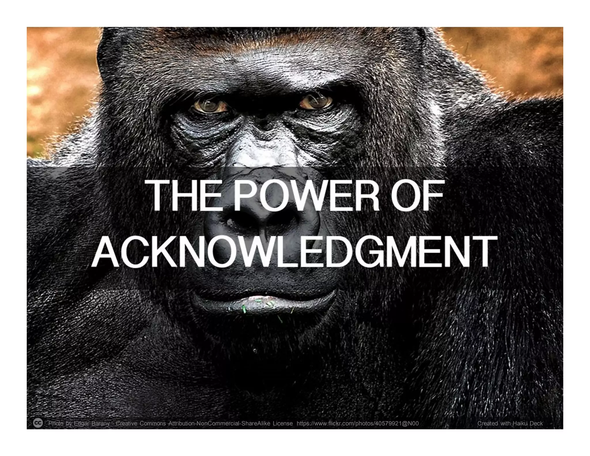 Photo by Edgar Barany - Creative Commons Attribution-NonCommercial-ShareAlike License https://www.flickr.com/photos/40579921@N00 Created with Haiku Deck
 