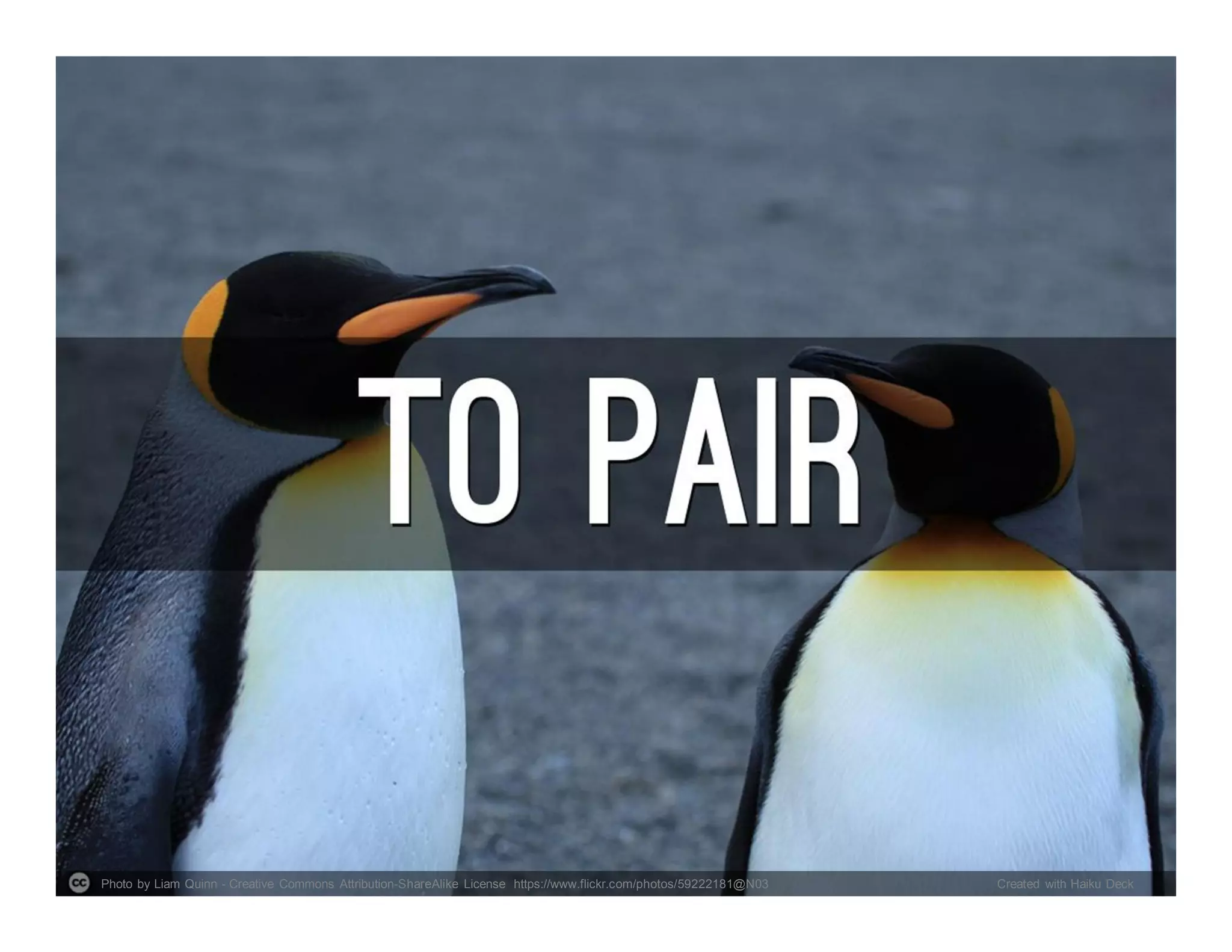 Photo by Liam Quinn - Creative Commons Attribution-ShareAlike License https://www.flickr.com/photos/59222181@N03 Created with Haiku Deck
 