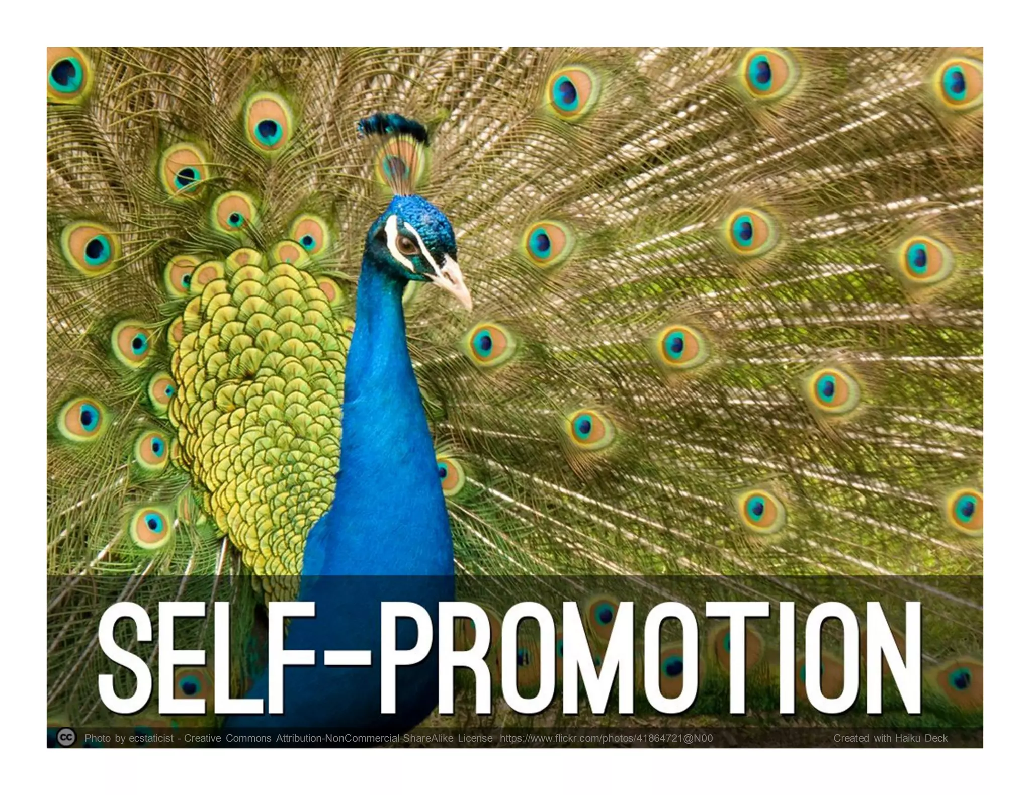 Photo by ecstaticist - Creative Commons Attribution-NonCommercial-ShareAlike License https://www.flickr.com/photos/41864721@N00 Created with Haiku Deck
 