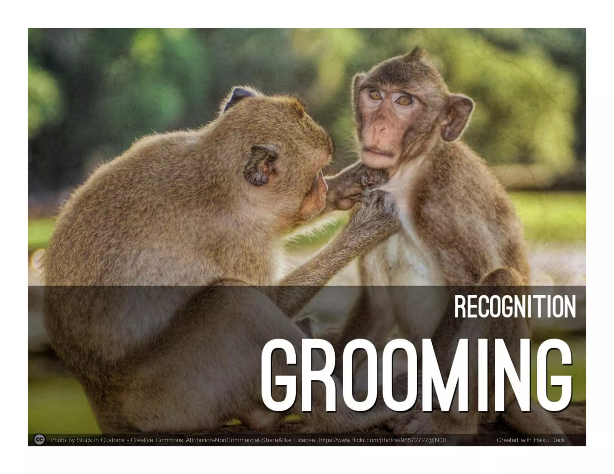 Photo by Stuck in Customs - Creative Commons Attribution-NonCommercial-ShareAlike License https://www.flickr.com/photos/95572727@N00 Created with Haiku Deck
 