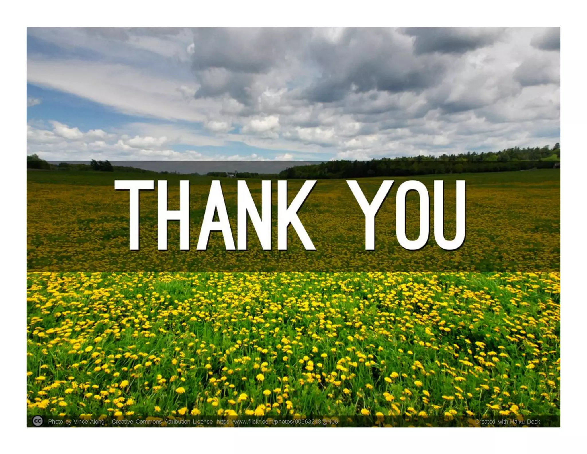 Photo by Vince Alongi - Creative Commons Attribution License https://www.flickr.com/photos/90963248@N00 Created with Haiku Deck
 