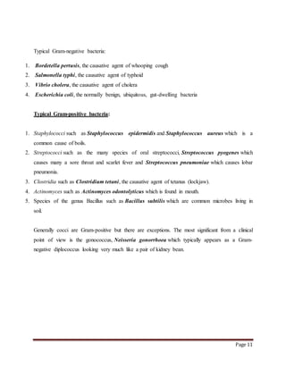 Page 11
Typical Gram-negative bacteria:
1. Bordetella pertusis, the causative agent of whooping cough
2. Salmonella typhi, the causative agent of typhoid
3. Vibrio cholera, the causative agent of cholera
4. Escherichia coli, the normally benign, ubiquitous, gut-dwelling bacteria
Typical Gram-positive bacteria:
1. Staphylococci such as Staphylococcus epidermidis and Staphylococcus aureus which is a
common cause of boils.
2. Streptococci such as the many species of oral streptococci, Streptococcus pyogenes which
causes many a sore throat and scarlet fever and Streptococcus pneumoniae which causes lobar
pneumonia.
3. Clostridia such as Clostridium tetani, the causative agent of tetanus (lockjaw).
4. Actinomyces such as Actinomyces odontolyticus which is found in mouth.
5. Species of the genus Bacillus such as Bacillus subtilis which are common microbes living in
soil.
Generally cocci are Gram-positive but there are exceptions. The most significant from a clinical
point of view is the gonococcus, Neisseria gonorrhoea which typically appears as a Gram-
negative diplococcus looking very much like a pair of kidney bean.
 