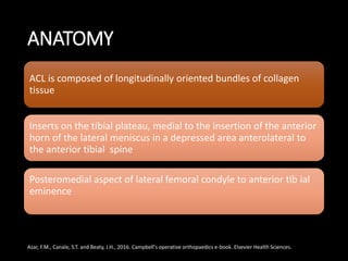 ANATOMY
ACL is composed of longitudinally oriented bundles of collagen
tissue
Inserts on the tibial plateau, medial to the insertion of the anterior
horn of the lateral meniscus in a depressed area anterolateral to
the anterior tibial spine
Posteromedial aspect of lateral femoral condyle to anterior tib ial
eminence
Azar, F.M., Canale, S.T. and Beaty, J.H., 2016. Campbell's operative orthopaedics e-book. Elsevier Health Sciences.
 
