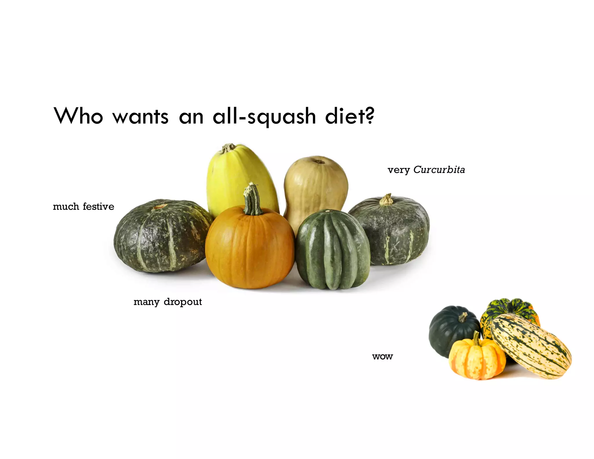 Who wants an all-squash diet?
wow
very Curcurbita
much festive
many dropout
 