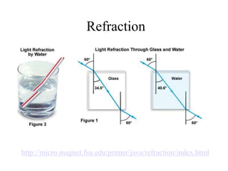 Lesson on Properties of Light in Grade 7 | PPT