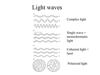 Lesson on Properties of Light in Grade 7 | PPT
