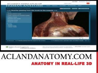 ACLANDANATOMY.COM
ANATOMY IN REAL-LIFE 3D

 