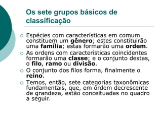 Os sete grupos básicos de
classificação
 Espécies com características em comum
constituem um gênero; estes constituirão
uma família; estas formarão uma ordem.
 As ordens com características coincidentes
formarão uma classe; e o conjunto destas,
o filo, ramo ou divisão.
 O conjunto dos filos forma, finalmente o
reino.
 Temos, então, sete categorias taxonômicas
fundamentais, que, em ordem decrescente
de grandeza, estão conceituadas no quadro
a seguir.
 