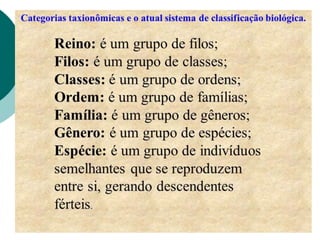 A classificação biológica