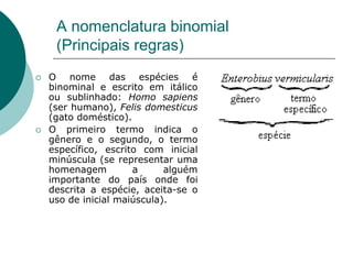 A nomenclatura binomial
(Principais regras)
 O nome das espécies é
binominal e escrito em itálico
ou sublinhado: Homo sapiens
(ser humano), Felis domesticus
(gato doméstico).
 O primeiro termo indica o
gênero e o segundo, o termo
específico, escrito com inicial
minúscula (se representar uma
homenagem a alguém
importante do país onde foi
descrita a espécie, aceita-se o
uso de inicial maiúscula).
 