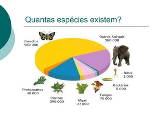 Quantas espécies existem?
 