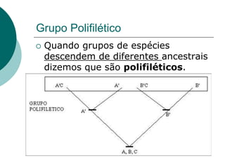 Grupo Polifilético
 Quando grupos de espécies
descendem de diferentes ancestrais
dizemos que são polifiléticos.
 