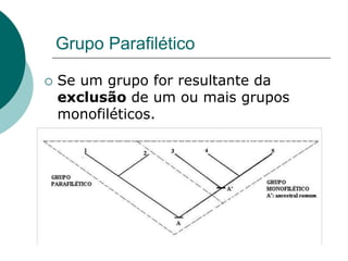 Grupo Parafilético
 Se um grupo for resultante da
exclusão de um ou mais grupos
monofiléticos.
 