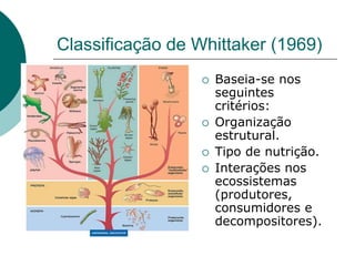 Classificação de Whittaker (1969)
 Baseia-se nos
seguintes
critérios:
 Organização
estrutural.
 Tipo de nutrição.
 Interações nos
ecossistemas
(produtores,
consumidores e
decompositores).
 