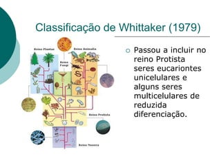 Classificação de Whittaker (1979)
 Passou a incluir no
reino Protista
seres eucariontes
unicelulares e
alguns seres
multicelulares de
reduzida
diferenciação.
 