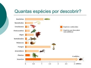 Quantas espécies por descobrir?
 
