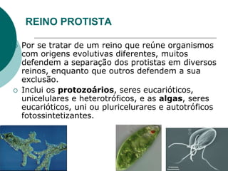 REINO PROTISTA
 Por se tratar de um reino que reúne organismos
com origens evolutivas diferentes, muitos
defendem a separação dos protistas em diversos
reinos, enquanto que outros defendem a sua
exclusão.
 Inclui os protozoários, seres eucarióticos,
unicelulares e heterotróficos, e as algas, seres
eucarióticos, uni ou pluricelurares e autotróficos
fotossintetizantes.
 