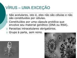 VÍRUS – UMA EXCEÇÃO
 São acelulares, isto é, eles não são células e não
são constituídos por células.
 Constituídos por uma cápsula protéica que
envolve seu material genético (DNA ou RNA).
 Parasitas intracelulares obrigatórios.
 Grupo à parte, sem reino.
 