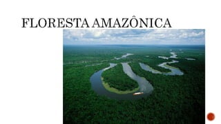 A CLIMATOLOGIA BRASILEIRA.pptx