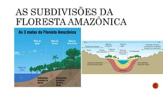 A CLIMATOLOGIA BRASILEIRA.pptx
