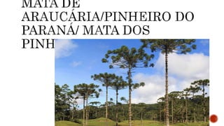 A CLIMATOLOGIA BRASILEIRA.pptx