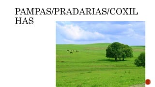 A CLIMATOLOGIA BRASILEIRA.pptx