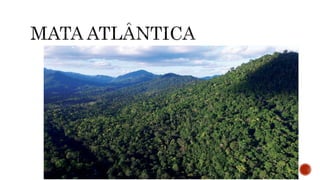 A CLIMATOLOGIA BRASILEIRA.pptx