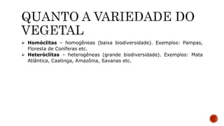  Homóclitas – homogêneas (baixa biodiversidade). Exemplos: Pampas,
Floresta de Coníferas etc.
 Heteróclitas – heterogêneas (grande biodiversidade). Exemplos: Mata
Atlântica, Caatinga, Amazônia, Savanas etc.
 