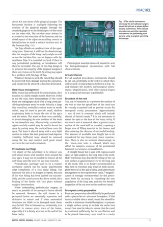 PRACTICE
about 4.0 mm short of the gingival margin. The
horizontal incision is scalloped following the
contour of the gingival margin through the
attached gingivae to the distal aspect of the tooth
on the other side. The incision must always be
extended to the other side of the fraenum and the
distal aspect of the adjacent maxillary central or
lateral incisor to avoid a vertical incision next to
the fraenum (Fig. 11c).
The flap affords an excellent view of the oper-
ating area. However, it still has the disadvantage
that the margins of the bony cavity might extend
across the incision line, as can happen with the
semilunar flap. It is essential to check if there is
any periodontal pocketing, as breakdown will
then be inevitable. The aim of this flap design is
to preserve the integrity of the gingival margins if
there are crowns on the teeth. Scarring may again
be a problem with this type of flap.
Whatever design is used, the raised flap should
be protected from damage during the operation,
and should not be allowed to become desiccated.
Hard-tissue management
If the lesion has perforated the cortical plate, then
location is a fairly simple matter. However, if this
is not the case, then measurement of the tooth
from the radiograph taken with a long-cone par-
alleling technique must be made. Initially, a large
size round bur, cooled by copious water or sterile
saline, may be used to provide small, shallow
exploratory holes to locate the site of the apex
and the lesion. This must be done very carefully,
to avoid damaging the root surfaces of the teeth
in the immediate area. Alternatively, a round bur,
again carefully cooled, may be used to locate the
apex by paring away the cortical bone over the
apex. The bone is shaved away with a very light
motion to reduce the heat generated and improve
visibility. Sufficient bone should be removed
using the bur and curettes until good visual
access to the root end is obtained.
Periradicular curettage
The object of this procedure is to remove any
soft-tissue lesion with curettes from around the
root apex. It may not be possible to remove all the
soft tissue until the root end has been resected.
Periradicular curettage used to be a routine
operation carried out by many practitioners
after completion of a root canal filling. The
rationale for this is no longer accepted, because
if the root filling has been carried out success-
fully and the canal system has been sealed, then
healing of the lesion will take place without
surgical intervention.
When undertaking periradicular surgery, as
much as possible of the periapical lesion should
be removed. However, the soft tissues in a
periapical lesion are essentially reparative and
defensive in nature and if other anatomical
structures are liable to be damaged some tissue
may be left. This is fortunate as, technically, it is
difficult to remove every trace of the lesion,
especially if it is firmly attached to the wall of the
bone cavity.
Pathological material removed should be sent
for histopathological examination with full
clinical details.
Armamentarium
For all surgical procedures, instruments should
be set out, preferably in the order in which they
will be used. A typical layout is shown in Fig. 12,
and includes the modern microsurgical instru-
ments. Magnification, with either optical loupes
or a surgical microscope, is preferable.
Resection of the root
The aim of resection is to present the surface of
the root so that the apical limit of the canal can
be visually examined and to provide access for
retrograde cavity preparation. Approximately
3 mm of root is removed which will include
almost all lateral canals.10 It is not necessary to
resect the apex to the base of the bony cavity. If
too much root is removed, then a greater cross-
section of the canal will be revealed, exposing a
larger area of filling material to the tissues, and
thus reducing the chances of successful healing.
The amount of available root length has to be
considered for any future post crown construc-
tion. There is also an inherent disadvantage as
the crown—root ratio is reduced, which may
affect the adaptive response of the periodontal
ligament to excessive occlusal forces.
A straight fissure bur is used with copious water
spray at right angles to the long axis of the tooth.
Older textbooks may describe bevelling of the cut
root surface at approximately 45° to the long axis
of the tooth. This is no longer recommended as
this form of resection may result in both incom-
plete removal of the apical delta, and unnecessary
enlargement of the exposed root canal.11 Magnifi-
cation is strongly recommended for this proce-
dure, both for accuracy in visualising the true
angulation of the long axis, and also for detailed
inspection of the cut root surface and root canal.
Retrograde cavity preparation
Root-end preparation should ideally be performed
with a piezo-electric ultrasonic handpiece. If this
is not available then a small, round bur should be
used in a miniature-headed handpiece, to prepare
a single surface cavity to include the entire root
canal. Care must be taken to ensure that the canal
is penetrated sufficiently far for an effective seal
to be placed. Inaccuracy may result in a cavity
Fig. 12 The sterile instruments
necessary for periradicular surgery
should be laid out as shown before
surgery commences. These include
micromirrors and other specialist
instruments for performing such
surgery using a surgical operating
microscope
BRITISH DENTAL JOURNAL VOLUME 198 NO. 2 JANUARY 22 2005 77
2p71-79.QXD 10/01/2005 11:36 Page 77
 