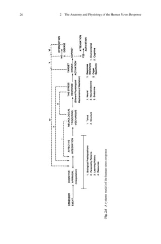 A clinical guide to the treatment of the human stress response | PDF