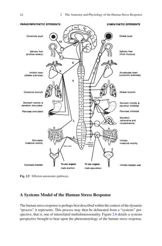 A clinical guide to the treatment of the human stress response | PDF